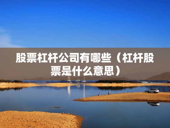 股票杠杆公司有哪些（杠杆股票是什么意思）