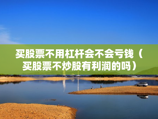 买股票不用杠杆会不会亏钱（买股票不炒股有利润的吗）