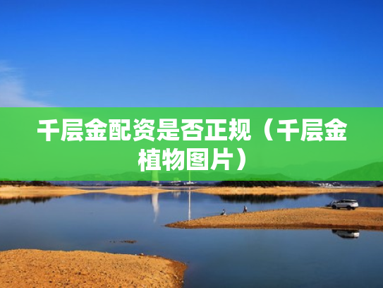 千层金配资是否正规（千层金植物图片）
