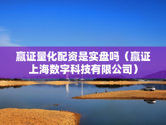 赢证量化配资是实盘吗（赢证上海数字科技有限公司）