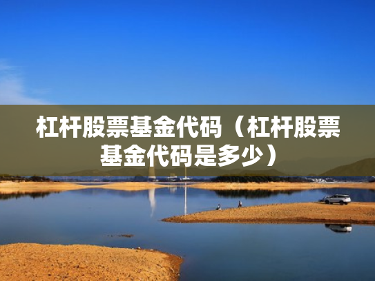 杠杆股票基金代码（杠杆股票基金代码是多少）
