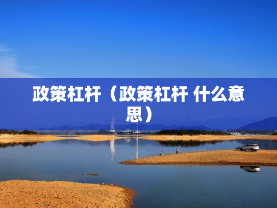 政策杠杆（政策杠杆 什么意思）