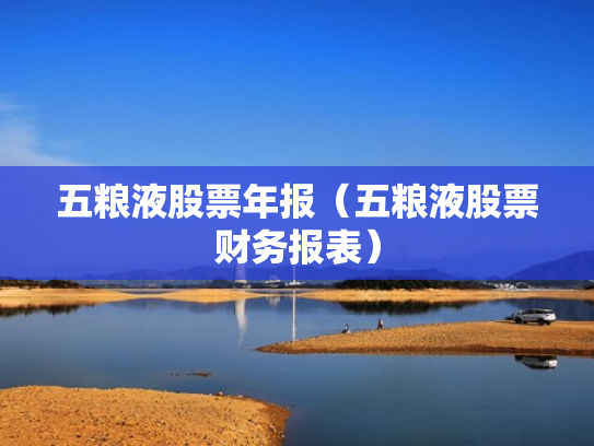 五粮液股票年报（五粮液股票财务报表）