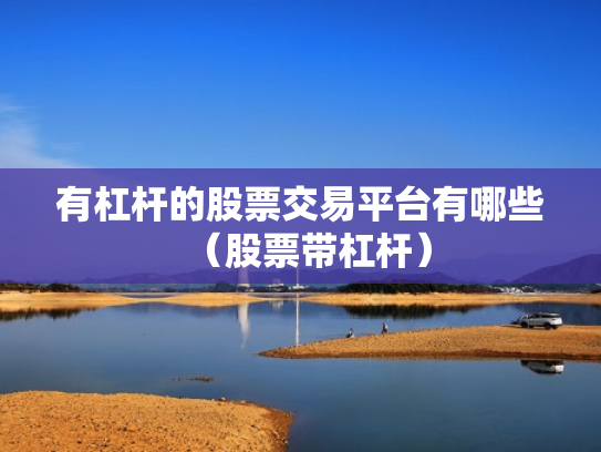 有杠杆的股票交易平台有哪些（股票带杠杆）