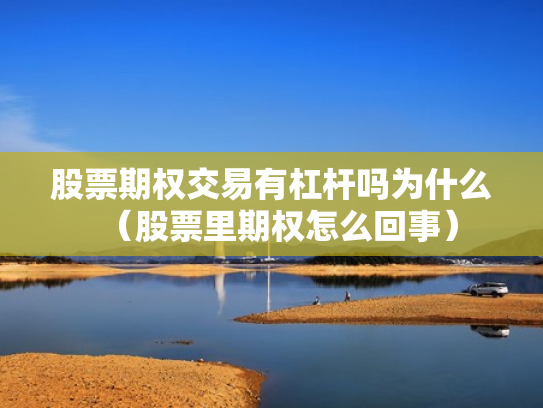 股票期权交易有杠杆吗为什么（股票里期权怎么回事）