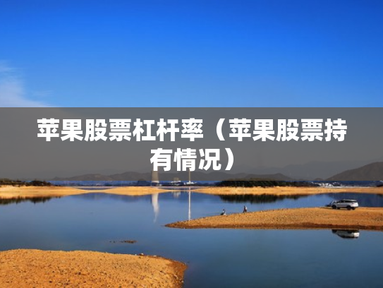 苹果股票杠杆率（苹果股票持有情况）