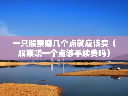 一只股票赚几个点就应该卖（股票赚一个点够手续费吗）