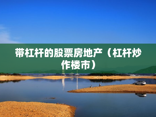 带杠杆的股票房地产（杠杆炒作楼市）