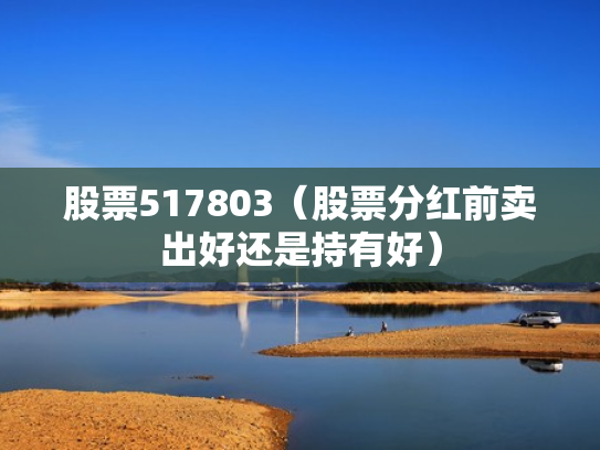 股票517803（股票分红前卖出好还是持有好）