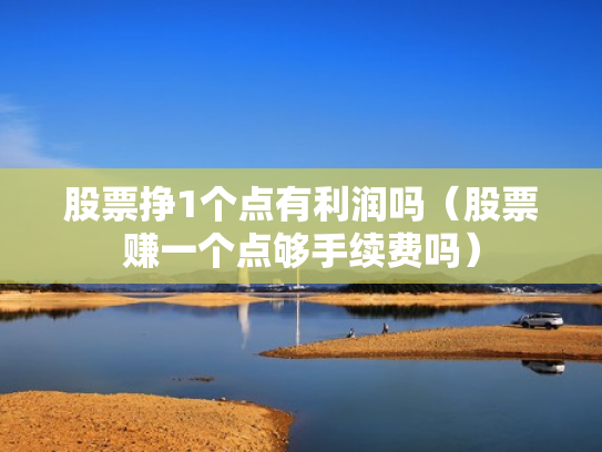 股票挣1个点有利润吗（股票赚一个点够手续费吗）