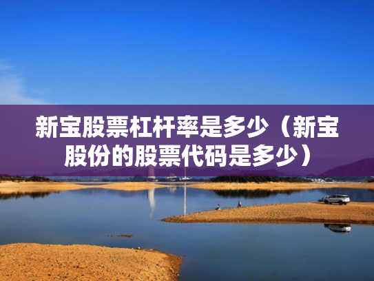 新宝股票杠杆率是多少（新宝股份的股票代码是多少）