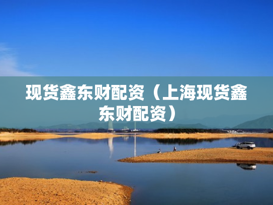 现货鑫东财配资（上海现货鑫东财配资）