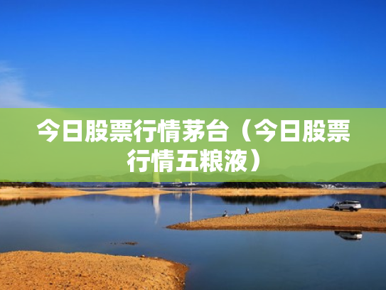 今日股票行情茅台（今日股票行情五粮液）