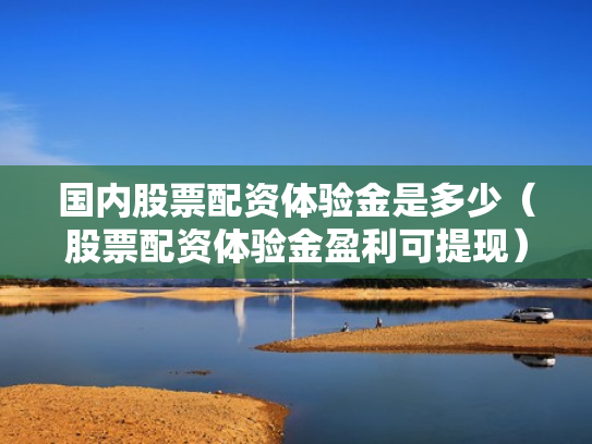 国内股票配资体验金是多少（股票配资体验金盈利可提现）