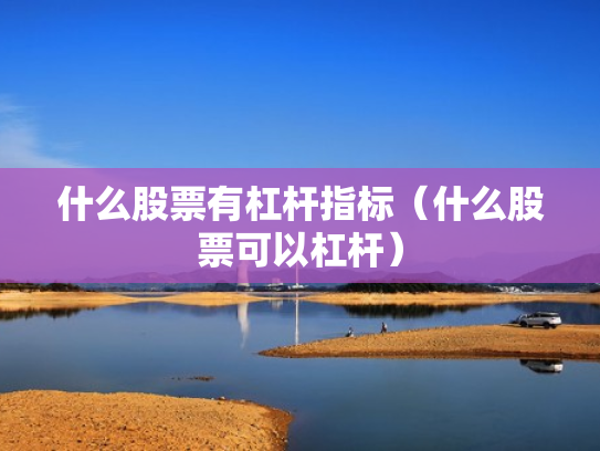什么股票有杠杆指标（什么股票可以杠杆）