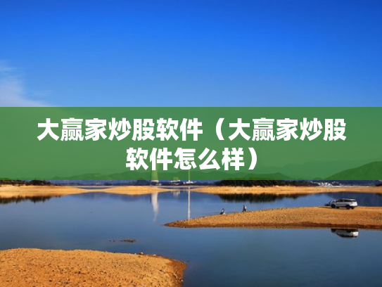 大赢家炒股软件（大赢家炒股软件怎么样）